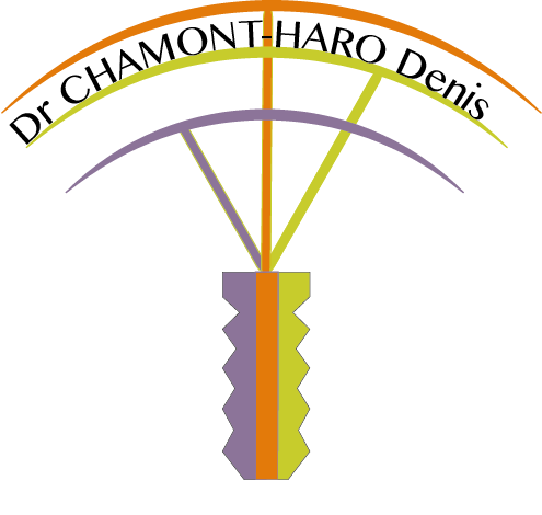 logo chirurgien dentiste Langon